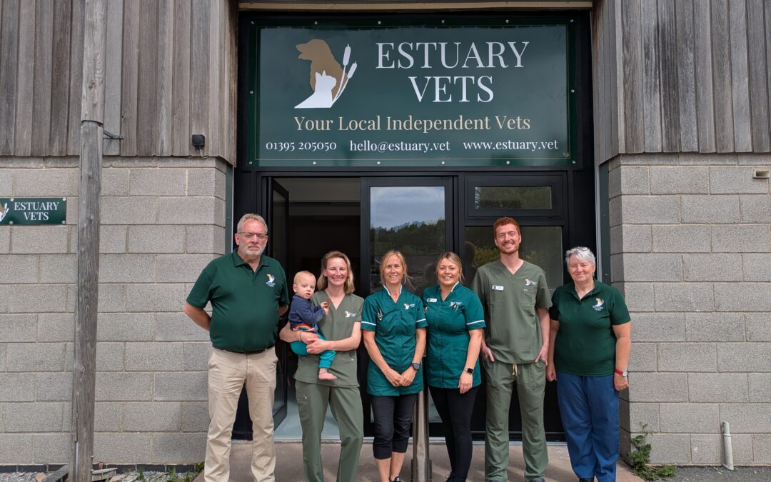 Estuary Vets opens its doors: a day to remember!